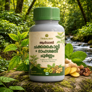 Kerala Tribal Dahasamini For Diabetes Care
